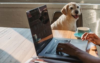 Take Your Dog to Work Day