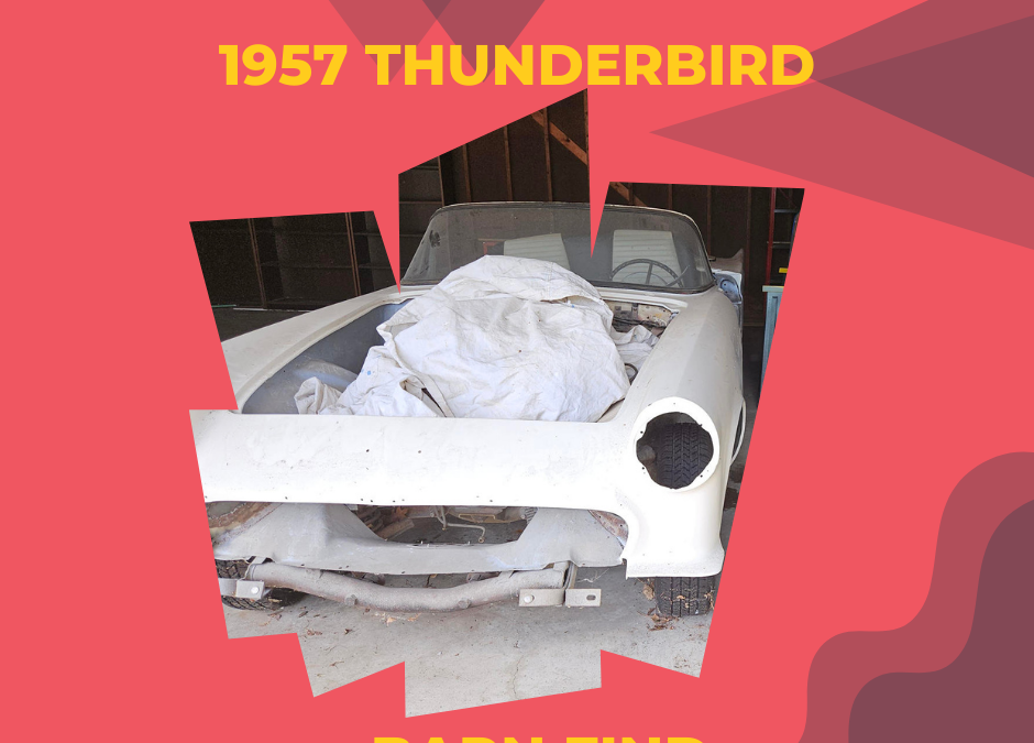 Barn Find TBird